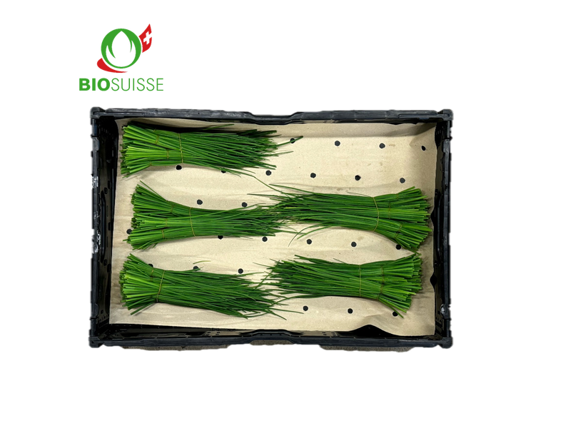 Schnittlauch Bd 5x100g Bio