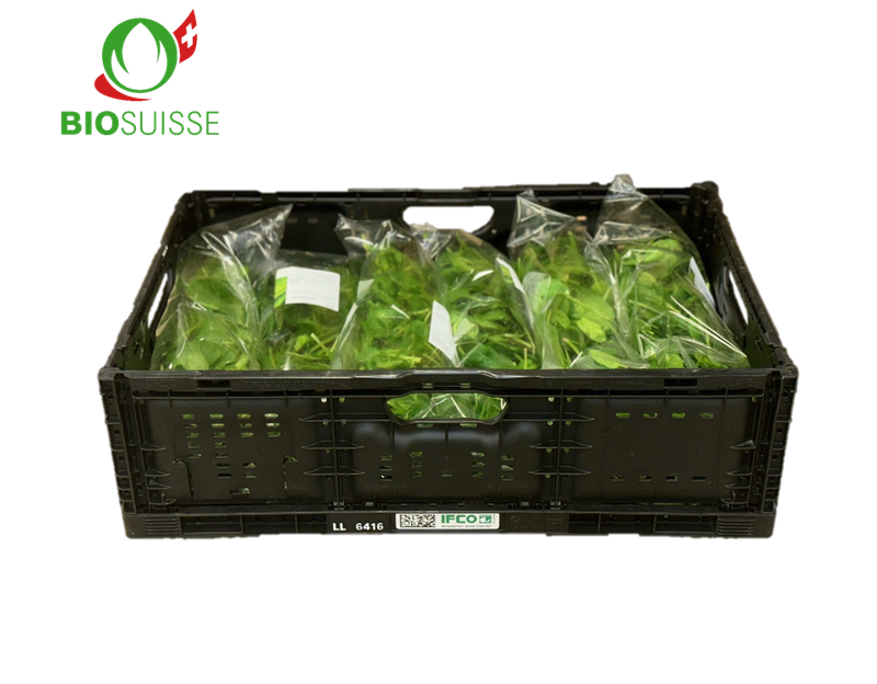 Spinat 300g Bio