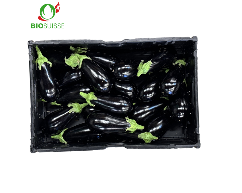 Aubergine Bio