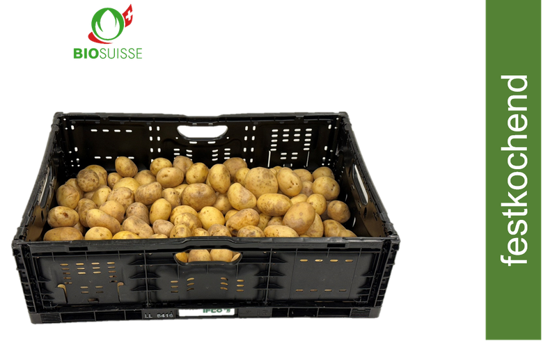 Kartoffeln festk. gew. Bio