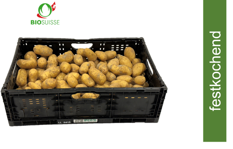 Kartoffeln festk. ungew. Bio