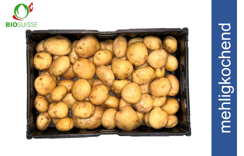 Kartoffeln mehlig. gew. Bio