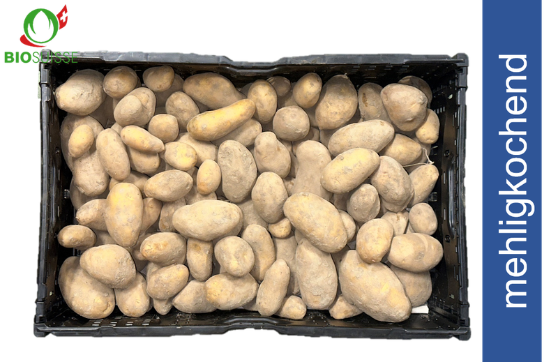 Kartoffeln mehlig. ungew. Bio