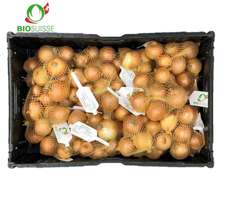 Zwiebeln 500g Bio
