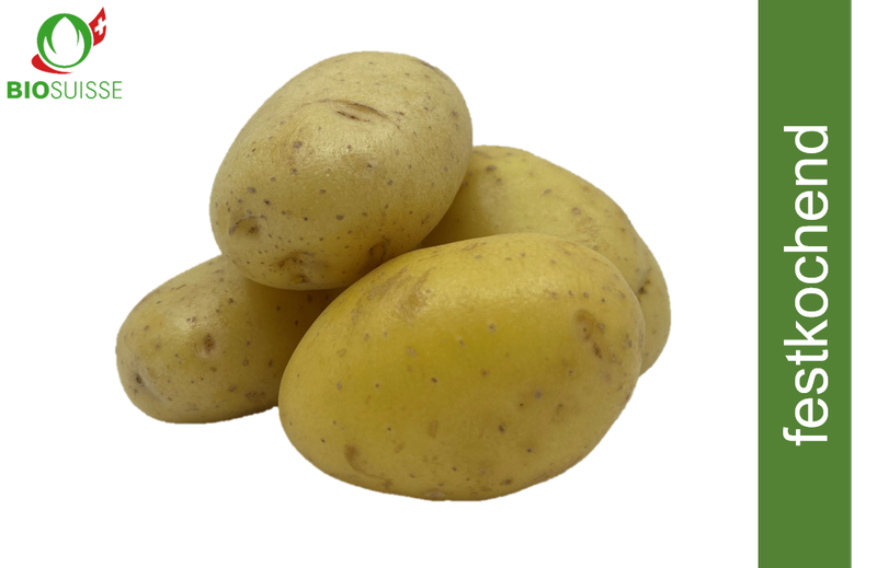 Kartoffeln festk. gew. Bio