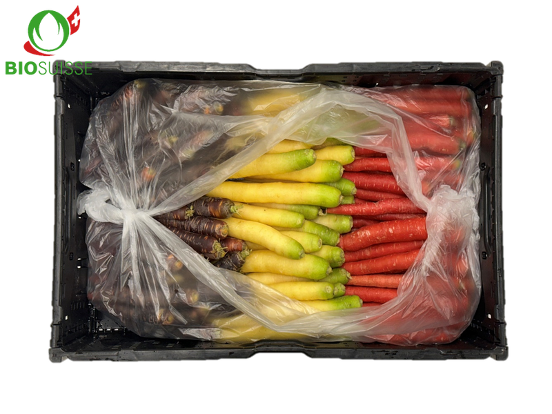 Karotten Mix farbig Bio