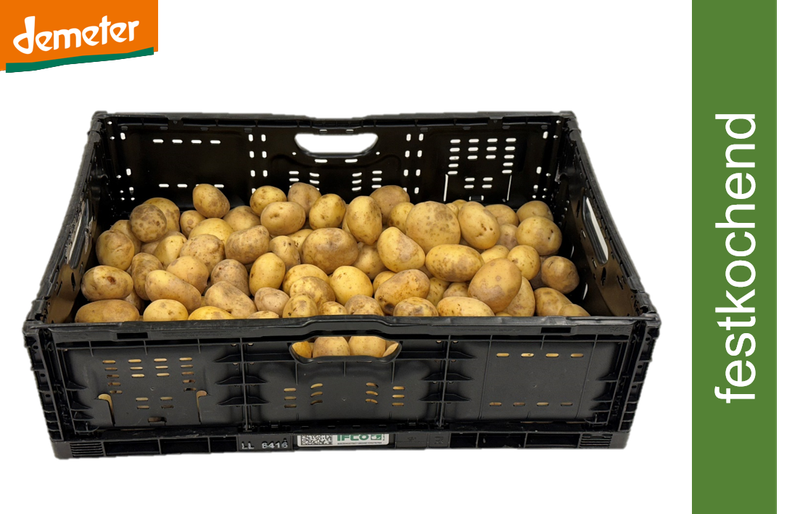 Kartoffeln festk. gew. DEMETER