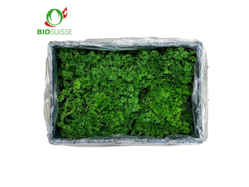 Peterli gekraust 1kg Bio