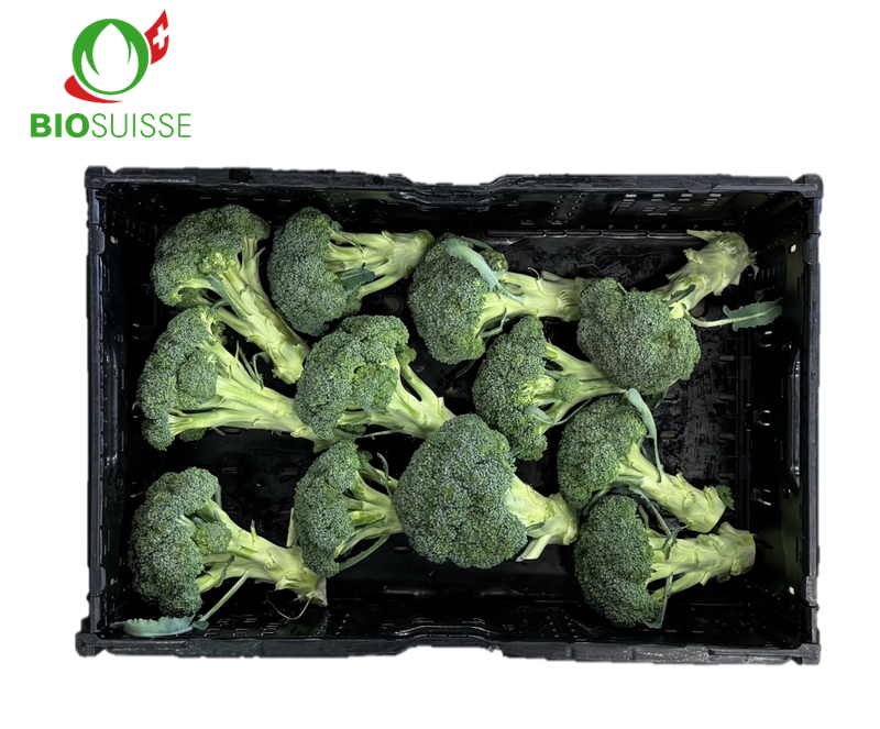Broccoli Bio