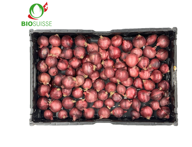 Zwiebeln rot Bio