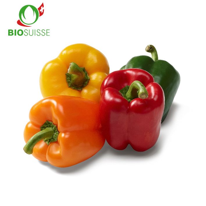 Peperoni farbig Bio