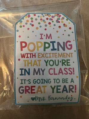 Pop It Student Gift