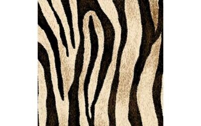Siser EasyPatterns - Wild Zebra + TTD