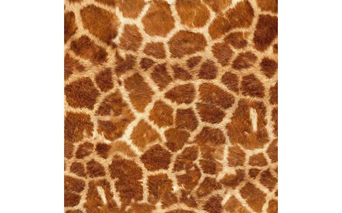 Siser EasyPatterns - Wild Giraffe + TTD
