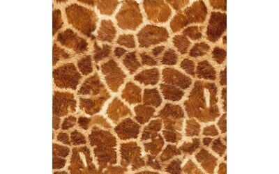 Siser EasyPatterns - Wild Giraffe + TTD