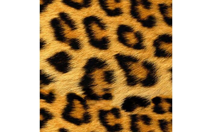 Siser EasyPatterns - Wild Leopard + TTD