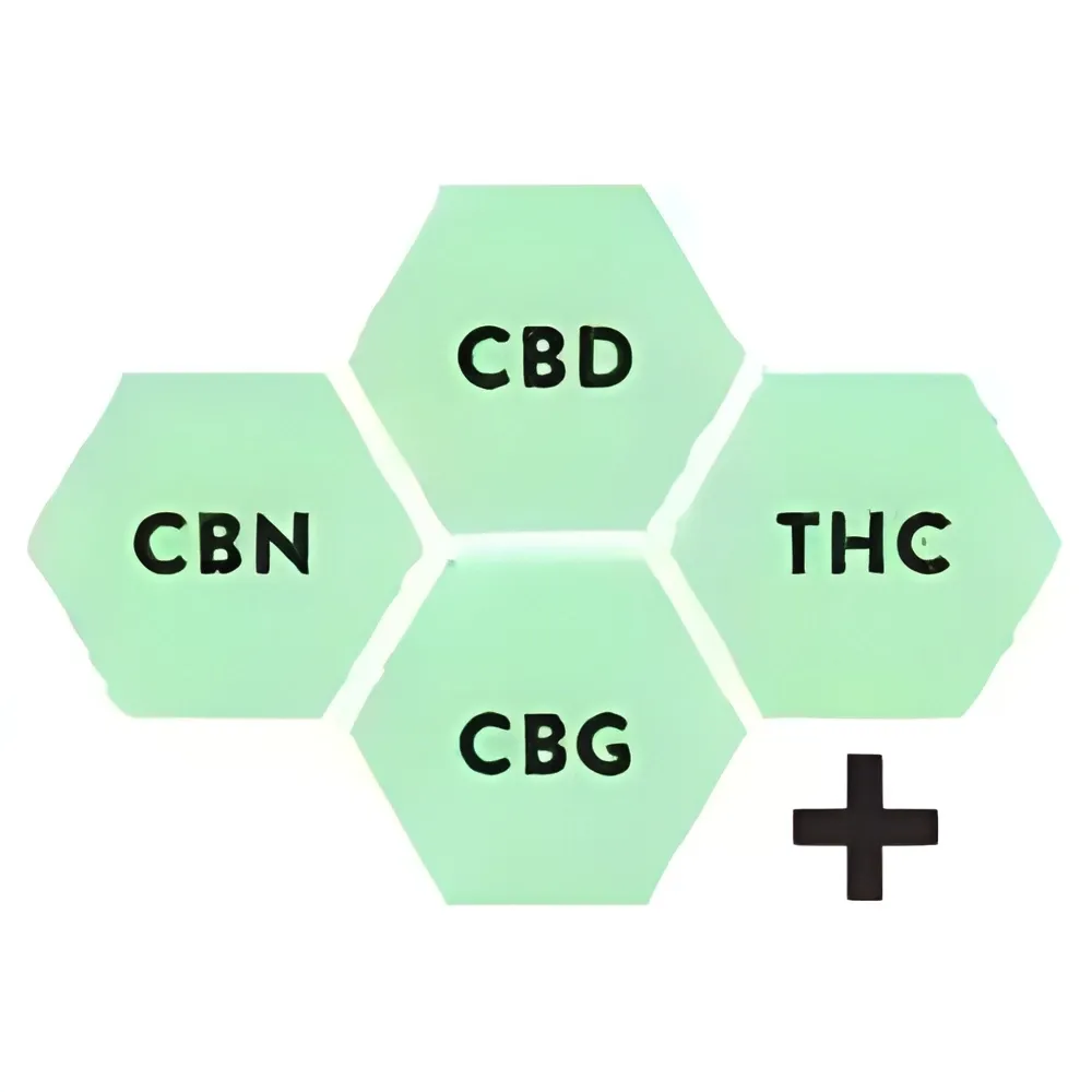 Doctor who season 2 episode 0 christmas invasion watch online