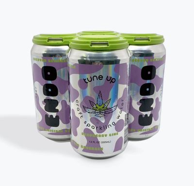 Endo Raspberry Lime CBD:THC Tune Up Sparkling Water (4-pack)