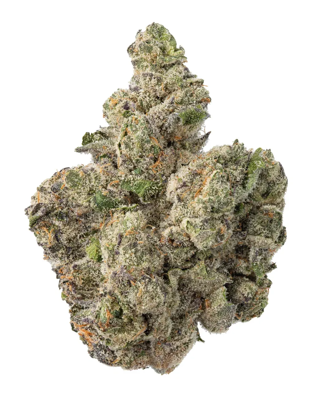 WNC: Gary Payton Hydro - Hybrid THCa Flower