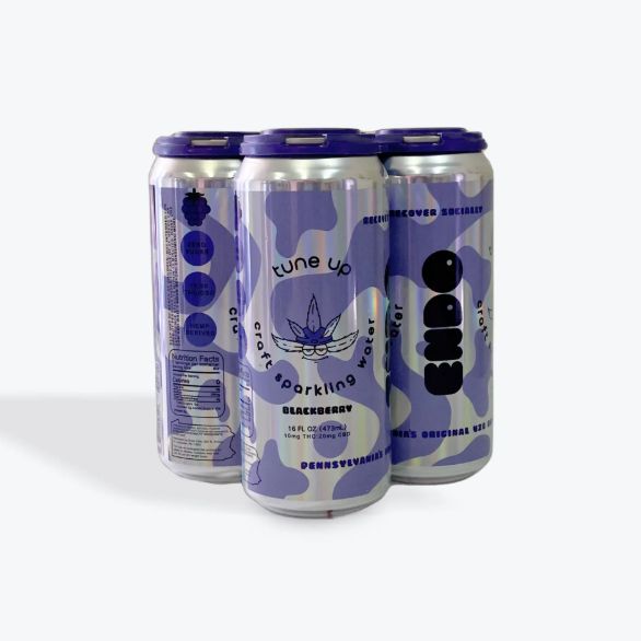 Endo Blackberry 16oz CBD:THC Tune-Up Sparkling Water (4 pack)