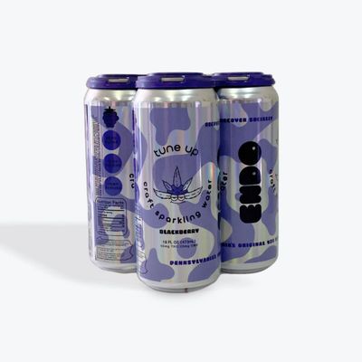Endo Blackberry 16oz CBD:THC Tune-Up Sparkling Water (4 pack)