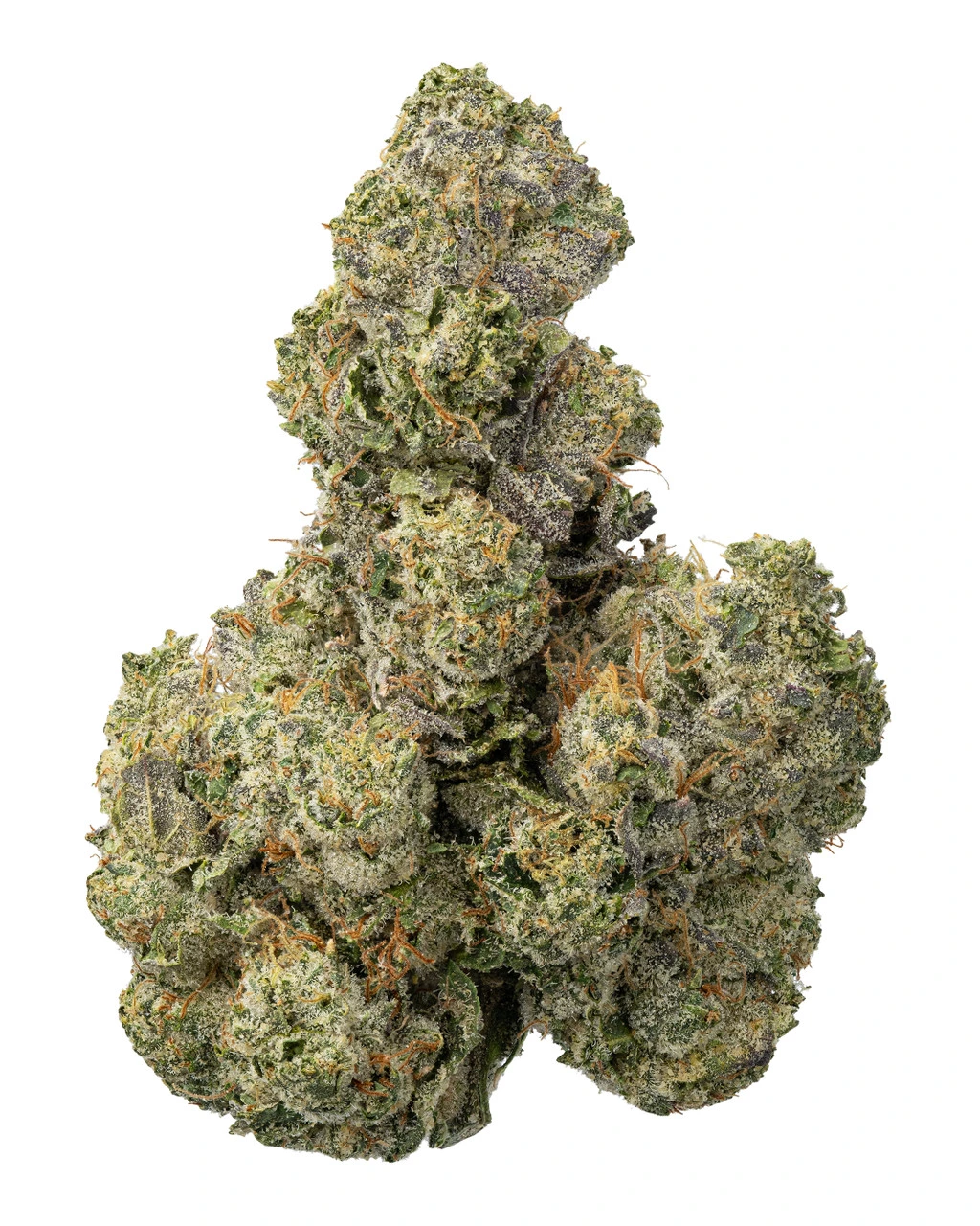 Gorilla Cookies
