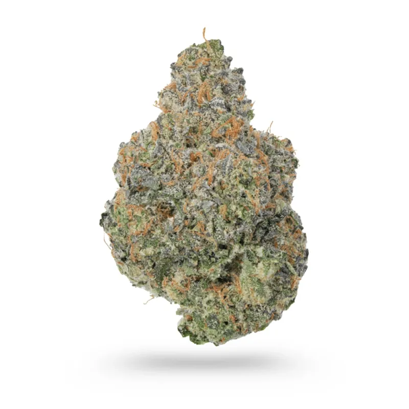Enjoy: Social Sativa THCa Flower - 3.5g - Super Silver Haze
