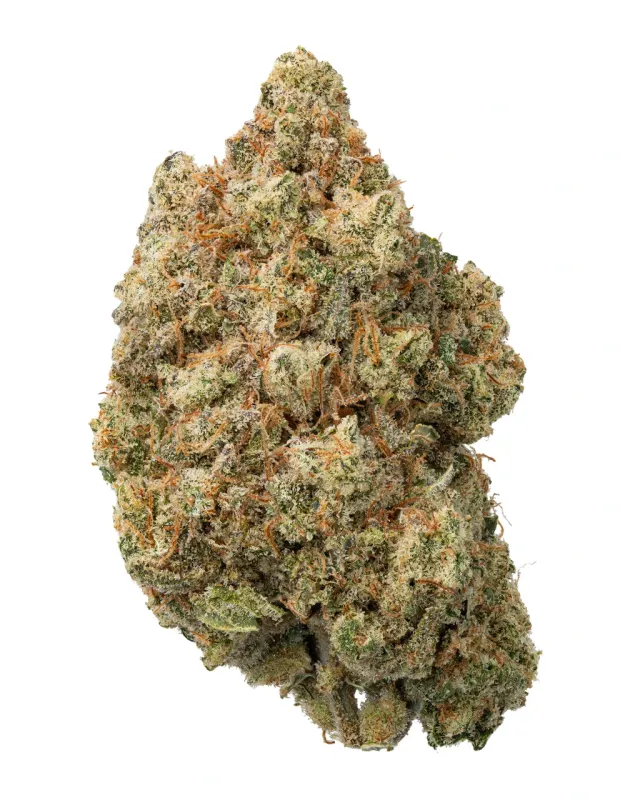 WNC: Trainwreck Living Soil - THCa Sativa Flower 3.5g