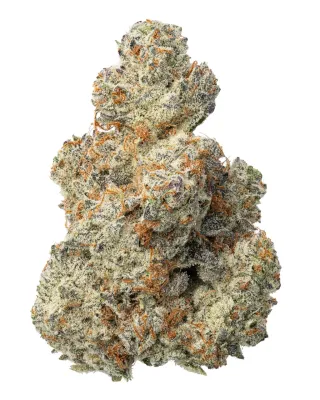 WNC: Sundae Driver Hydro - THCa Hybrid Flower - 3.5g