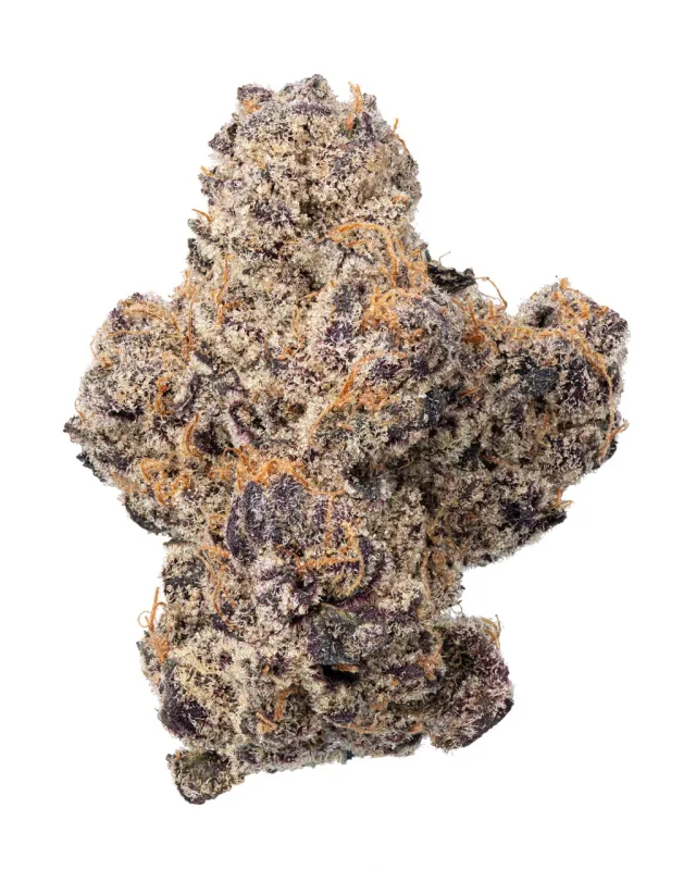 WNC: Mango Mojito Hydro - THCa Hybrid Flower