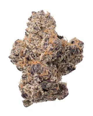 WNC: Mango Mojito Hydro - THCa Hybrid Flower