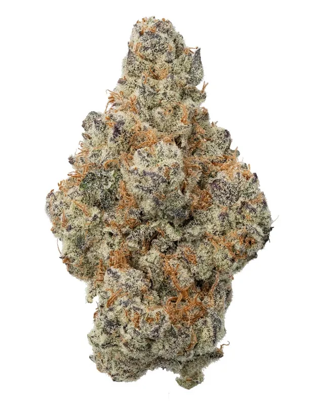 WNC: Devil Driver Hydro - Sativa THCa Flower - 3.5g