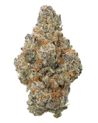 WNC: Devil Driver Hydro - Sativa THCa Flower - 3.5g