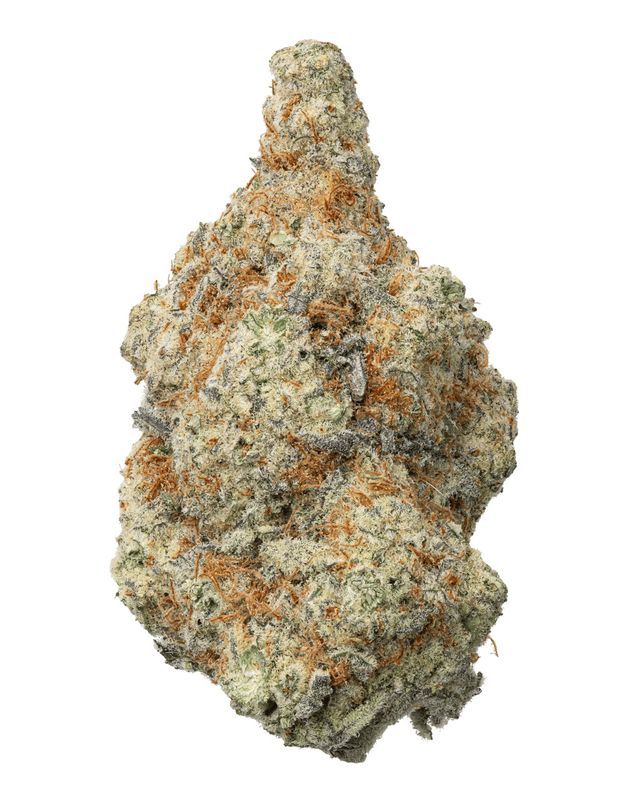 WNC: Acapulco Gold Living Soil -Sativa THCa Flower - 3.5g