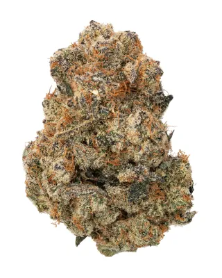 WNC: Mango Kush Living Soil - THCa Indica Flower 3.5g