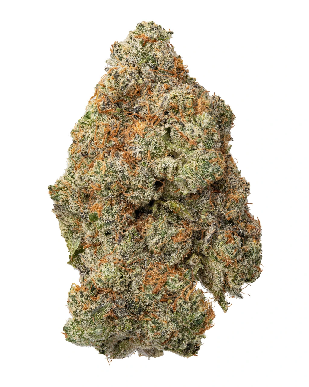 Wicked Sour