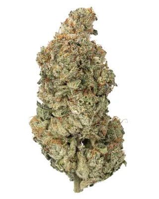 WNC: Maui Wowie Hydro - THCa Sativa Flower 3.5g