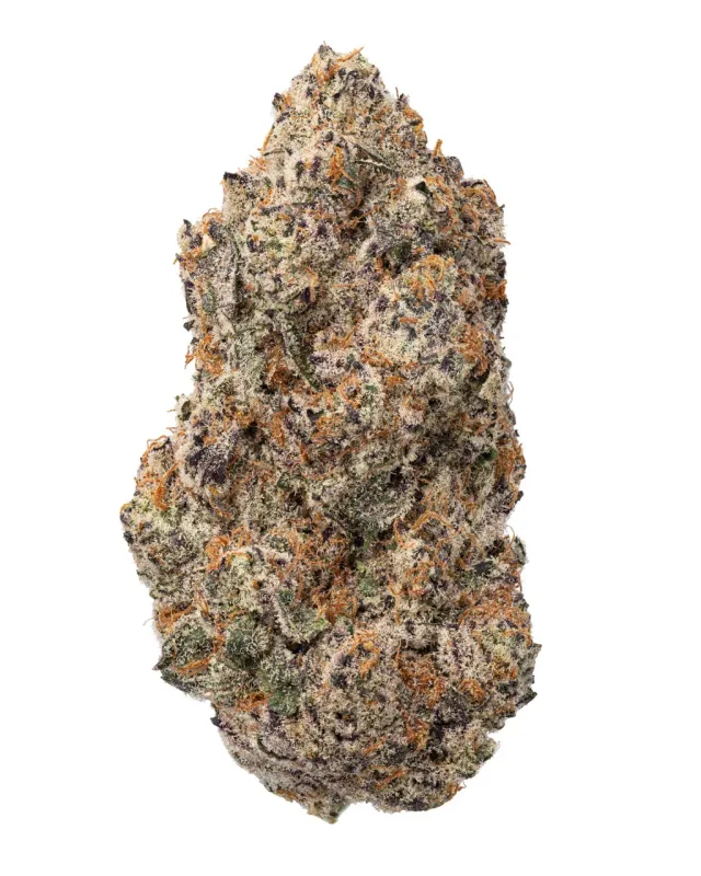 WNC: Colorado Night Shifter Hydro - Sativa THCa Flower 3.5g