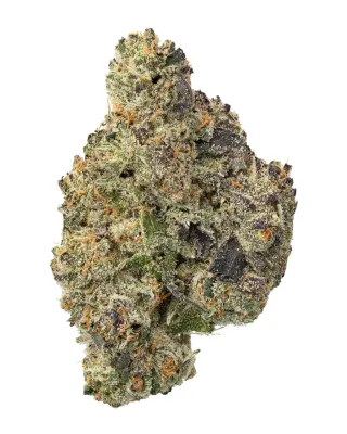 WNC: Pineapple OG Living Soil - THCa Sativa Flower