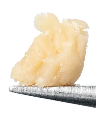 WNC: SB x SFV OG Cold Cure Live Rosin THCa Concentrate 1g WNC: SB x SFV OG Cold Cure Live Rosin THCa Concentrate 1g