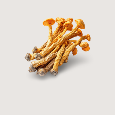 Shrooms &amp; Herbs