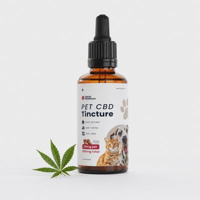 Nurse Wellness: 600mg Nano CBD Oil For Pets - Bacon Flavor