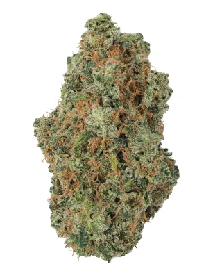 WNC: Indoor Colombian Gold Living Soil - THCa Sativa Flower 3.5g