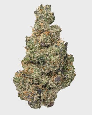 WNC: Gary Payton Hydro - Hybrid THCa Flower