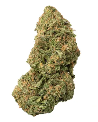 WNC: Blue Dream Living Soil - THCa Sativa Flower