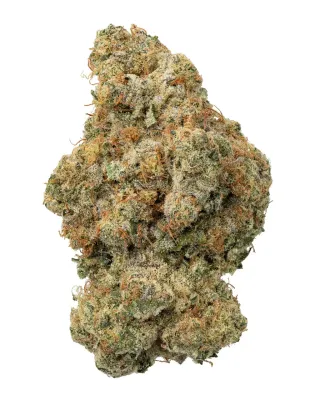 WNC: Garlic Cheerios Hydro - Indica THCa Flower