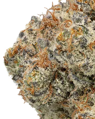 WNC: Peanut Brittle Hydro - Indica THCa Flower
