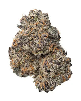WNC: Purple Haze Living Soil - Sativa THCa Flower - 3.5g