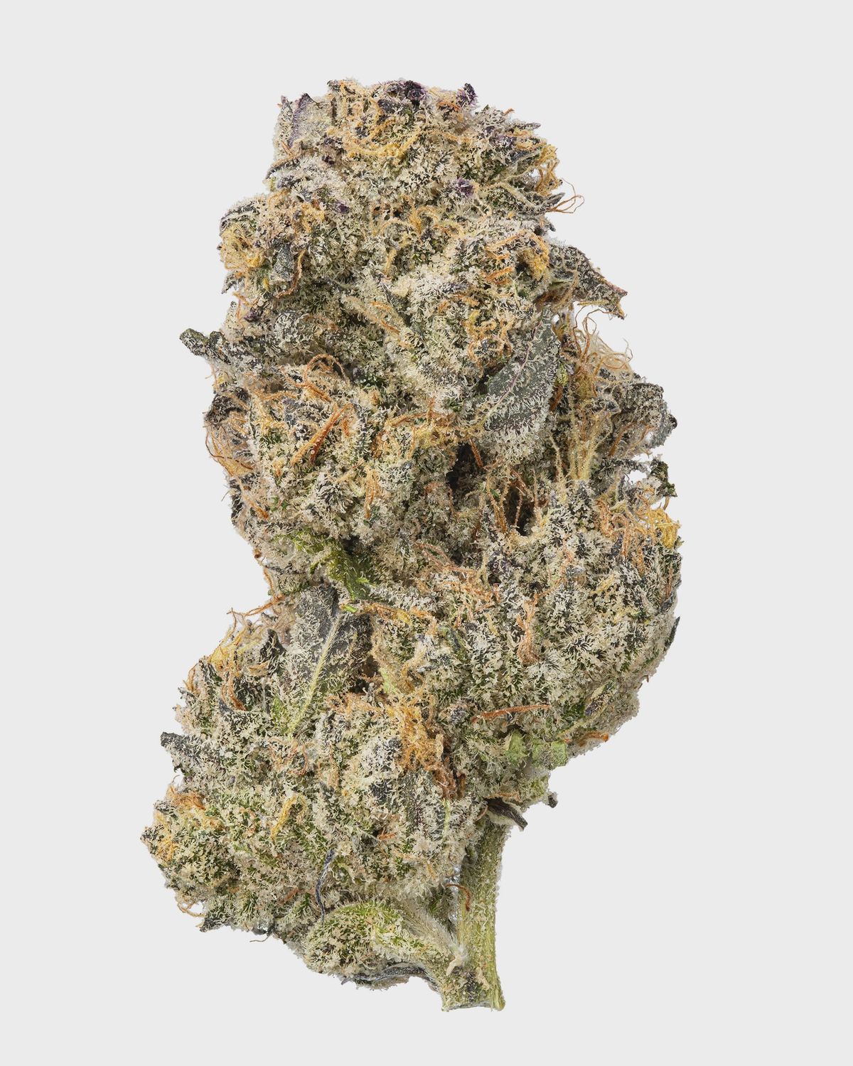 WNC: Sticky Purple THCa Flower