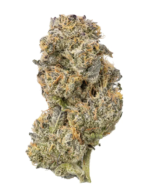 WNC: Sticky Purple THCa Flower